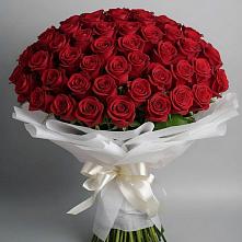 Букет 101 Красная роза Блэк Мэджик #REPLACE_PRED# Большое Новосурино