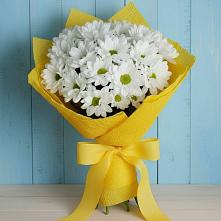 Букет цветов из:  Хризантемы в Большое Новосурино