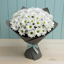 Букет цветов из:  Хризантемы в Большое Новосурино