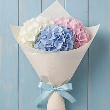 Букет цветов из:  Гортензия в Большое Новосурино
