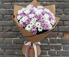 Букет цветов из:  Хризантемы в Большое Новосурино