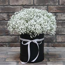 Цветочная композиция из Гипсофила в шляпной коробке в Большое Новосурино