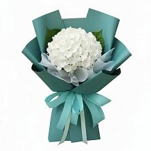 Букет цветов из:  Гортензия в Большое Новосурино